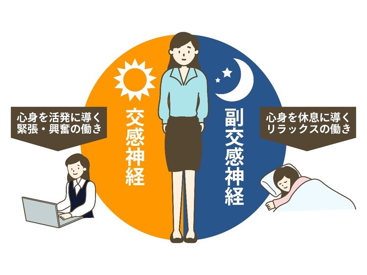 睡眠障害の主な分類のイメージ