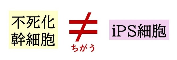 iPS細胞とは異なります