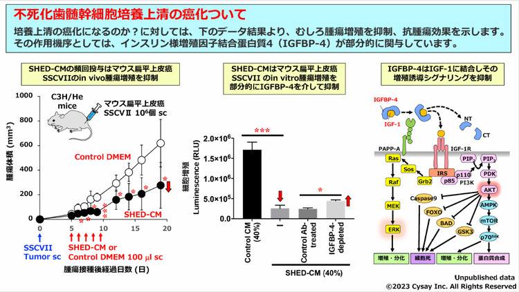 安全性について詳しく知りたい方へ