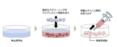 イメージ写真2